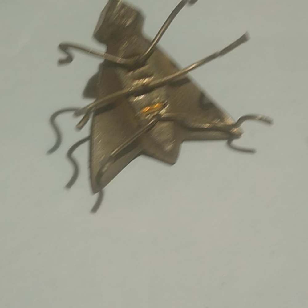 Gold bug - Picture 2 of 2